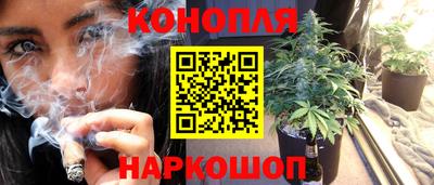 стаф Тара