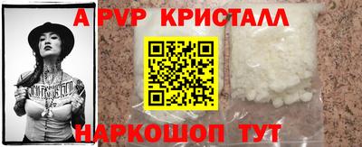 стаф Тара