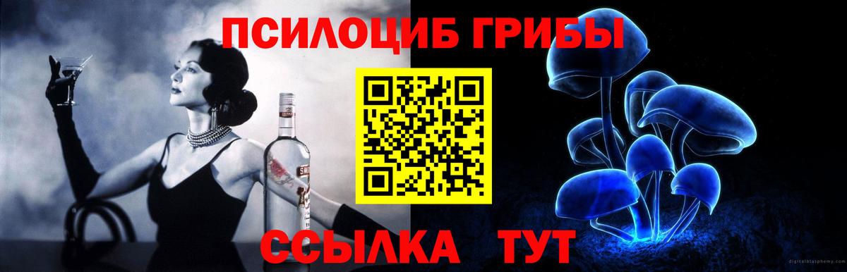 Галлюциногенные грибы Psilocybe Белорецк